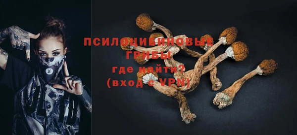 мяу мяу мука Карпинск