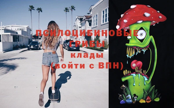 альфа пвп Каменка
