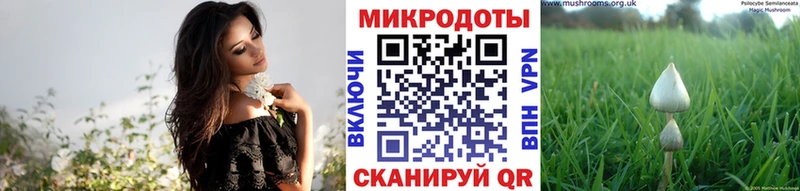 Псилоцибиновые грибы ЛСД  Купить закладки  Гай 