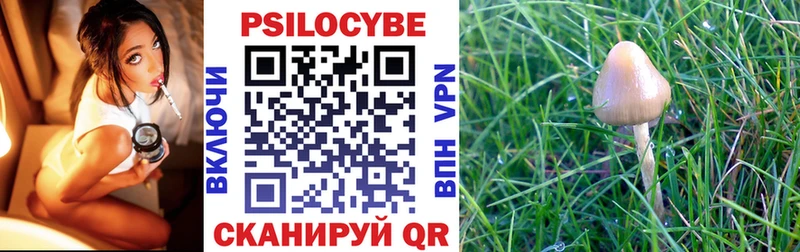 Галлюциногенные грибы мухоморы Гай
